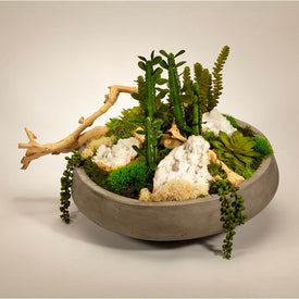 Succulents with Moroccan Geodes and Drift Wood in Large Concrete Bowl