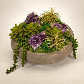 Succulents with Amethyst in Concrete Bowl