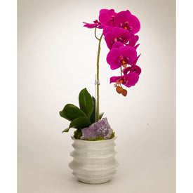 Fuchsia Orchid with Amethyst in White Wavy Pot