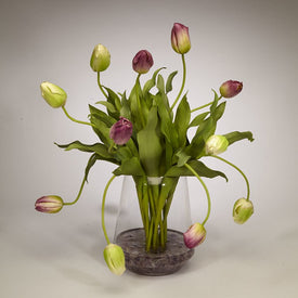 Green and White Tulips in Clear Glass Vase