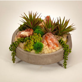 Succulents with Red Calcite in Concrete Bowl