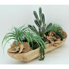 Succulents and Cactus in Hand-Carved Wood Log