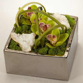 Green Orchids with Moroccan Geode in Silver Square Container