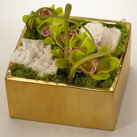 Green Orchids with Moroccan Geode in Gold Square Container