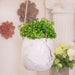 13742-01 Outdoor/Lawn & Garden/Planters