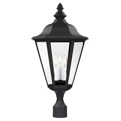 Product Image: 8231EN-12 Lighting/Outdoor Lighting/Post & Pier Mount Lighting