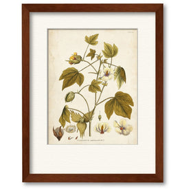 Elegant Botanical I 16" x 20" Framed and Matted Art