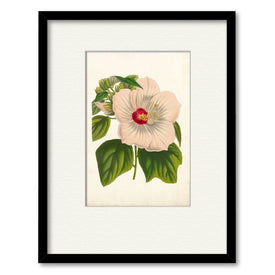 Striking Hibiscus 16" x 20" Framed and Matted Art