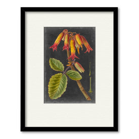 Dramatic Tropicals III 16" x 20" Framed and Matted Art