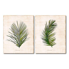 Palm Botanical I & Palm Botanical II 16" x 20" Canvas Two-piece Set