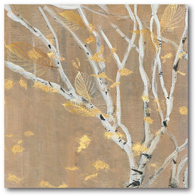 Birch Wood I 30" x 30" Gallery-Wrapped Canvas Wall Art