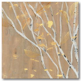 Birch Wood II 24" x 24" Gallery-Wrapped Canvas Wall Art