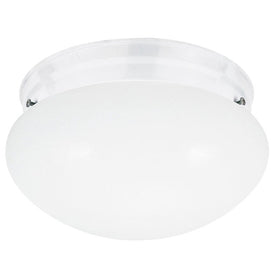 Webster Single-Light LED Flush Mount Ceiling Fixture