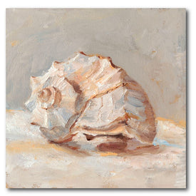 Impressionist Shell Study II 16" x 16" Gallery-Wrapped Canvas Wall Art