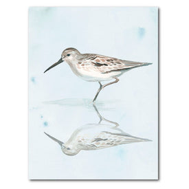 Sandpiper Reflections II 30" x 40" Gallery-Wrapped Canvas Wall Art