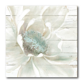 Weathered White II 16" x 16" Gallery-Wrapped Canvas Wall Art
