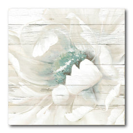 Weathered White I 24" x 24" Gallery-Wrapped Canvas Wall Art