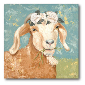 Pretty Goat 30" x 30" Gallery-Wrapped Canvas Wall Art