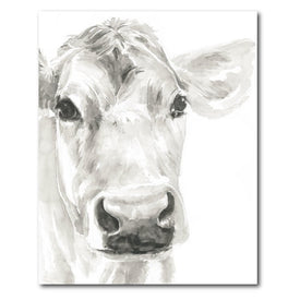 Farm Faces I 16" x 20" Gallery-Wrapped Canvas Wall Art