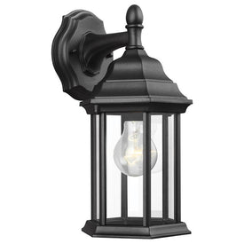 Sevier Single-Light Small Downlight Outdoor Wall Lantern