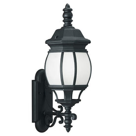Wynfield Single-Light LED Large Outdoor Wall Lantern