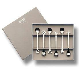 Evento Stainless Steel Spoons Set of 6 in Gift Box