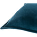 CV032-1230P Decor/Decorative Accents/Pillows