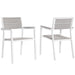 EEI-1739-WHI-LGR-SET Outdoor/Patio Furniture/Outdoor Chairs