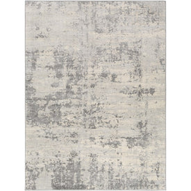 Monaco 4'3" x 5'11" Area Rug