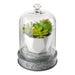 56152A Decor/Decorative Accents/Jar Bottles & Canisters