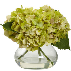Blooming Hydrangea with Vase Green
