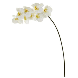 34" Faux Phalaenopsis Orchid Bloom Collection