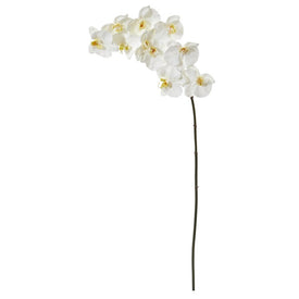 42" Faux Large Phalaenopsis Orchid X 10 Bloom Collection