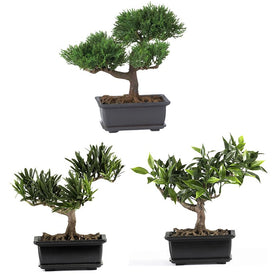 8.5" Faux Bonsai Silk Plant Collections Set of 3