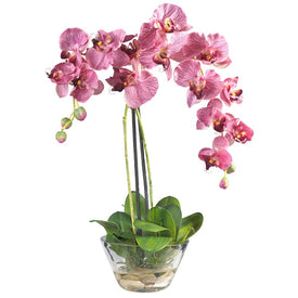 18" Faux Phalaenopsis with Glass Vase