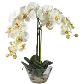 18" Faux Phalaenopsis with Glass Vase