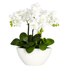 15" Faux Phalaenopsis with White Vase