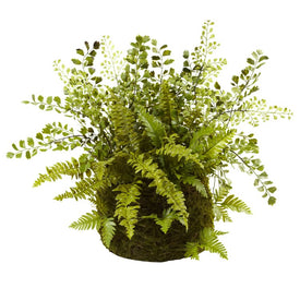 Mixed Fern with Twig and Moss Basket