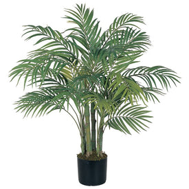 3' Areca Palm Tree with 536 Leaves