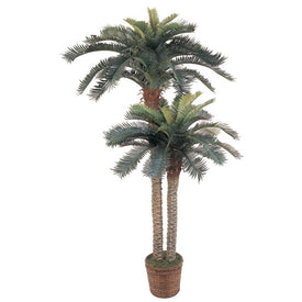 6' Faux and 4' Faux Double Potted Sago Palm Silk Tree