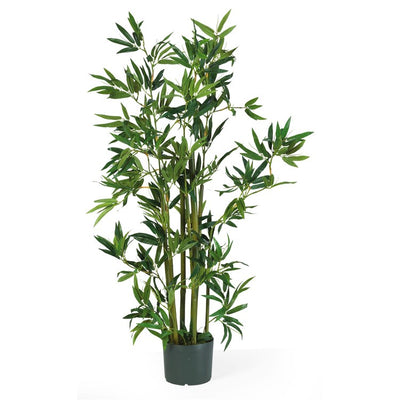 Product Image: 5040 Decor/Faux Florals/Plants & Trees