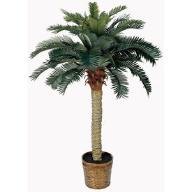 4' Sago Palm Tree with 28 Leaves
