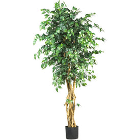 6' Faux Palace Style Ficus Tree with 1,596 Leaves