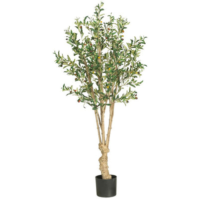 Product Image: 5258 Decor/Faux Florals/Plants & Trees