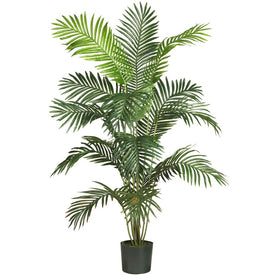 6' Paradise Palm Tree with 15 Leaves
