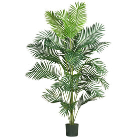 7' Paradise Palm Tree with 21 Leaves