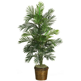 56" Faux Areca Tree with Basket