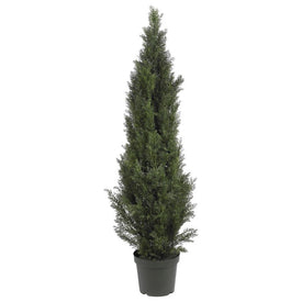 5' Mini Cedar Pine Tree with 1565 Leaves