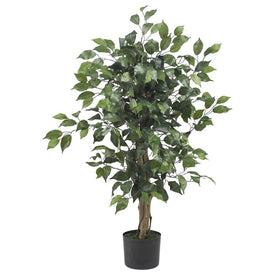 3' Ficus Tree with 378 Leaves