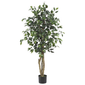 4' Ficus Tree with 504 Leaves